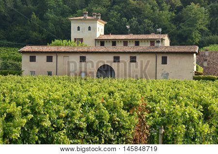 Ancient farm estate with its vineyards in the countryside of Brescia - Italy