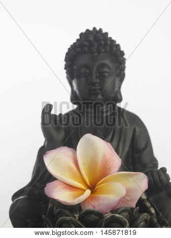 black Buddha statue in a sitting position on the white background