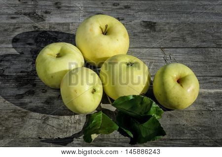 ripe yellow apple on the old wooden table in the garden