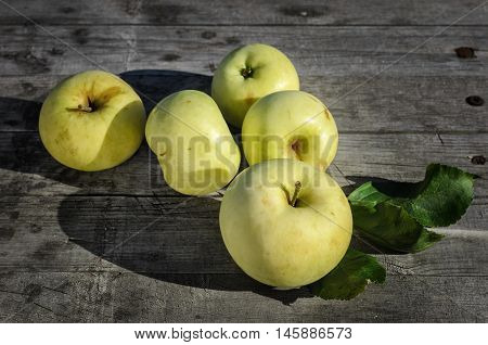 ripe yellow apple on the old wooden table in the garden