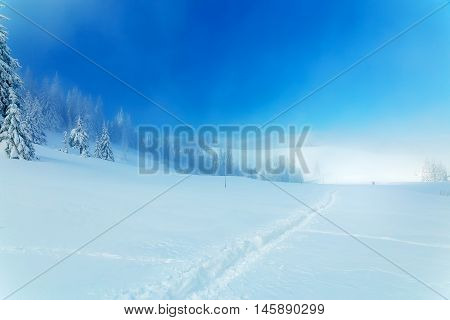 Beautiful mountain snowy landscape and snow covered trees and snowy paths in the snow. Beautiful sunny day in the mountains