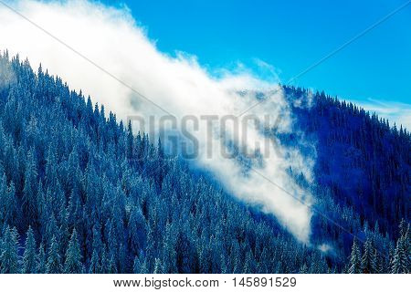 Beautiful mountain snowy landscape and snow covered trees. Beautiful sunny day in the mountains