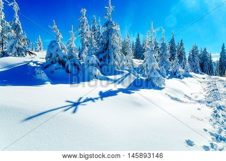 Beautiful mountain snowy landscape and snow covered trees. Beautiful sunny day in the mountains