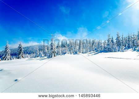 Beautiful mountain snowy landscape and snow covered trees. Beautiful sunny day in the mountains