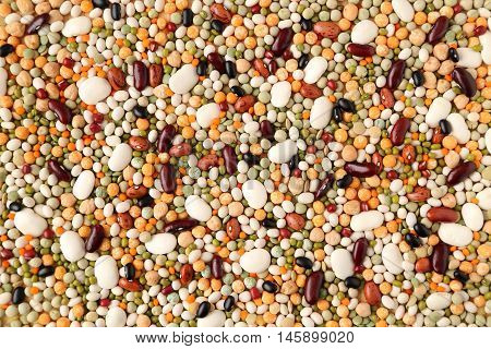 Variety of coloured beans and lentils. Food background.