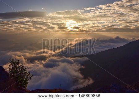 Sunrise and The sea of fog in the mountains at Chiang Mai, Thailand.