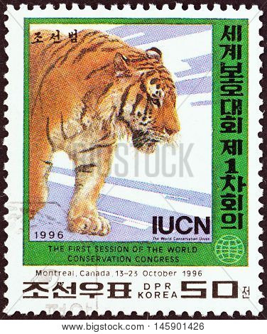 NORTH KOREA - CIRCA 1996: A stamp printed in North Korea issued for the World Conservation Union Congress, Montreal, Canada shows a Tiger (Panthera tigris), circa 1996.