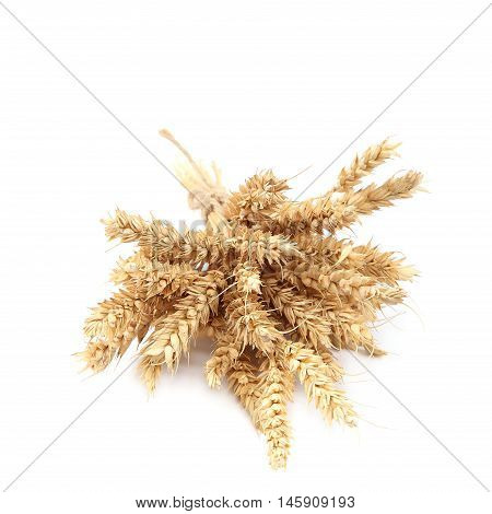 Sheaf of wheat ears isolated on white background.