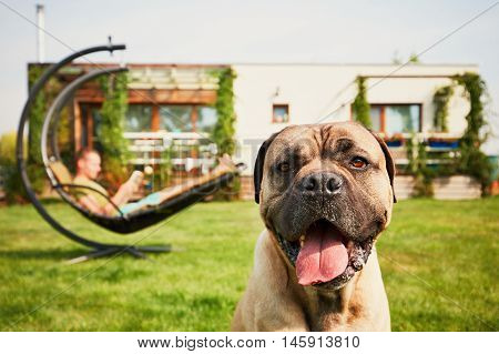 Man With Dog On The Garden