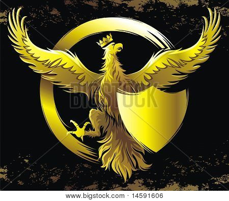 Aquila