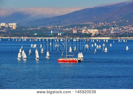 GELENDZHIK, RUSSIA - NOVEMBER 7, 2015: Sailing sport in sea resort town of Gelendzhik in sunny day on Black sea coast on November 7, 2015 in city-resort Gelendzhik, Russia