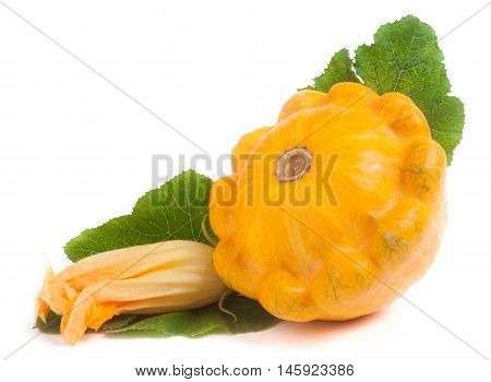yellow pattypan squash with leaf and flower isolated on white background.