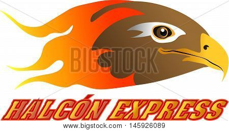 This is a grat Logotype desing by Lushox Arts. Falcon Express (Spanish)