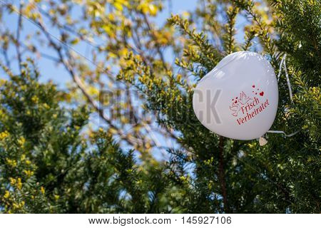 Newly Wed White Heart Balloon Stuck in Green Bush Reception Outdoors