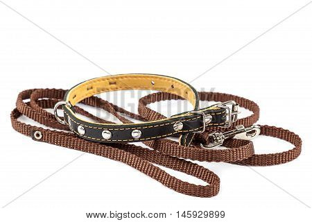 Leather collar and leash isolated on a white background.