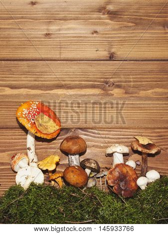 Assorted mushrooms on a wooden background. Vertical image