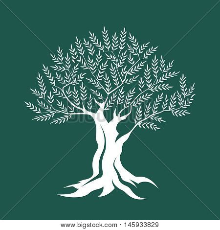 Olive tree silhouette icon isolated on green background.
Web graphics modern vector sign. Premium quality illustration logo design concept pictogram.