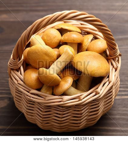 Edible bovine bolete mushrooms in a wicker basket.