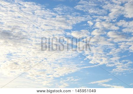 Blue sky and altocumulus clouds may be used as background.