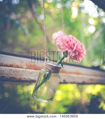 Pink Flower In Hanging Glass Bottle