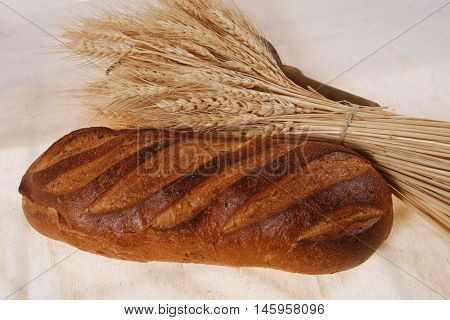 bunch of mown wheat ears with vintage handmade reaper hook sickle and rye dark white french fresh bread loaf on light linen tablecloth