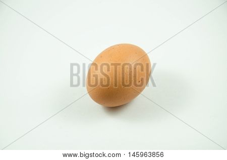 The Isolated Egg With With White BackGround