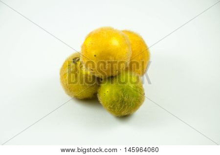 The Fresh Solanum ferox with White Backgound