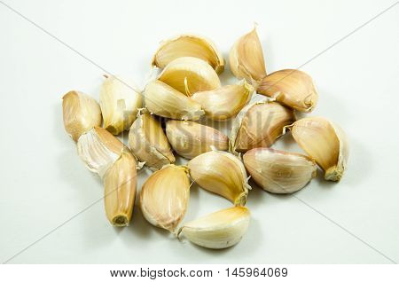 The Fresh Garlics Isolated in White Background