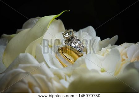 Wedding Rings Closeup On White Rose