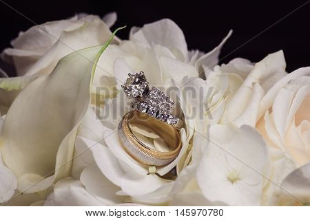 Wedding Rings Closeup On White Rose