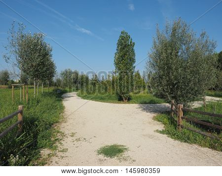 Berlinguer Park In Settimo Torinese