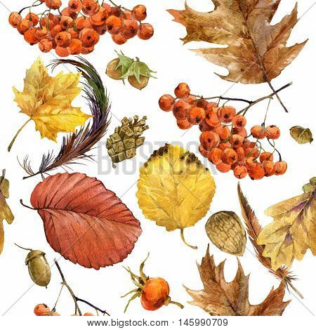 Seamless patern with autumn leaves. Watercolor Autumn background.