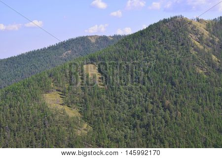 High relief mountain with trees and grass