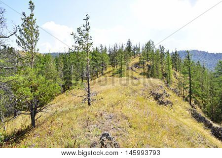 Not high relief mountain with trees and grass