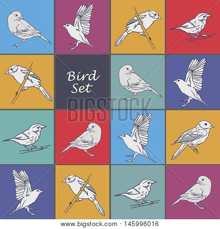 Colorful set of hand drawn birds. Vector