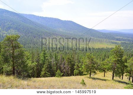 Not high relief mountain with trees and grass
