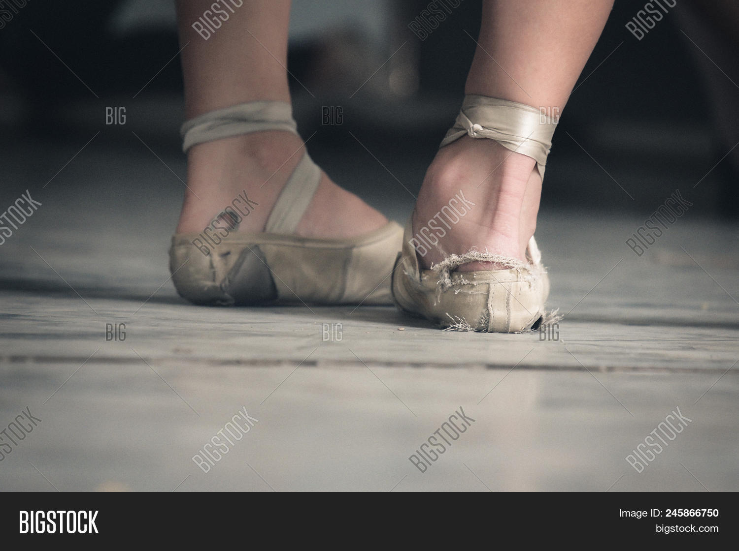 Threadbare Ballet Image & Photo (Free Trial) Bigstock
