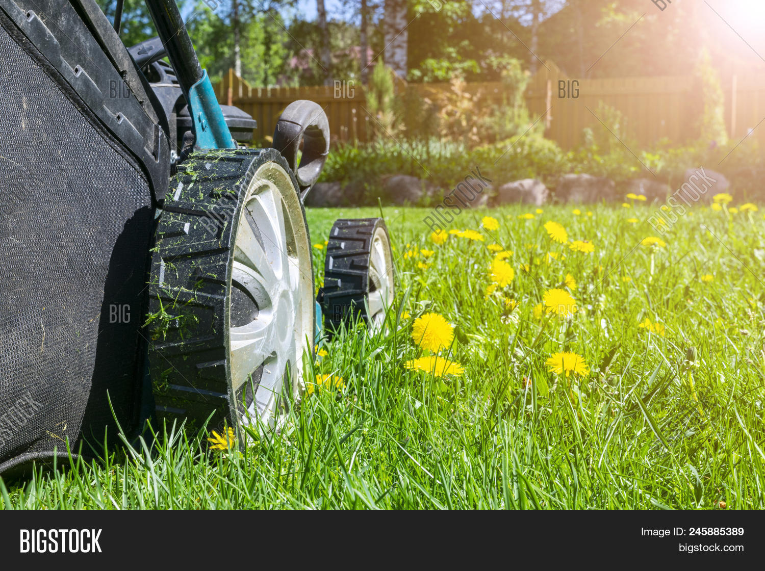 Mowing Lawns. Lawn Image & Photo (Free Trial) Bigstock
