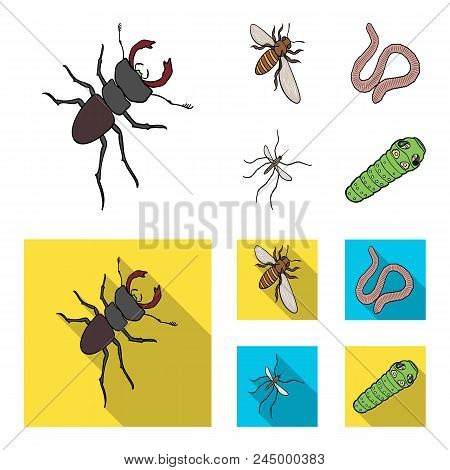 Arthropods Insect Mosquito, Bee.earth Worm, Caterpillar, Vermicular Set Collection Icons In Cartoon,