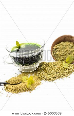 Raw Fennel With Its Powder And Its Beneficial Tea Or Extract In A Transparent Cup Isolated On White.
