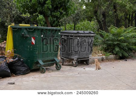 Homeless Cat Waitig For The Food Next To Trash Cans. Athens, June 2018. Horizontal.