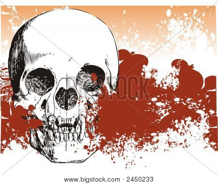 Vampir Skull illustration
