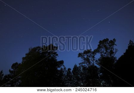 Tall Treeline Silhouetted By Stars Being At Night In North Carolina