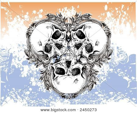 Abbildung 3 skulls