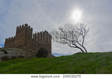 Genoese Fortress In Sudak, Crimea. Consular Castle And A Lonely Tree Against A Cloudy Sky. Early Apr