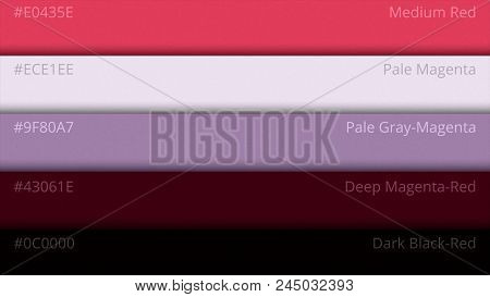 Color Pallette, Cosmic Colors. Color Palette With Various Samples. Paint Selection Catalog.