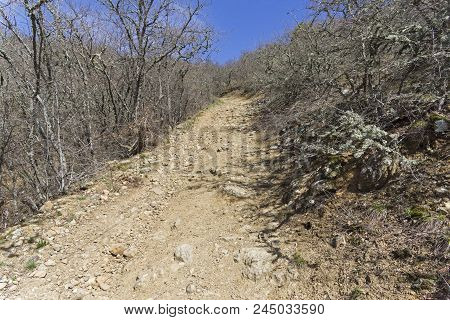 A Dirt Road On A Steep Slope. The Foot Of The Tokluk-syrt Mountain Ridge. Crimea, Spring, Early Apri