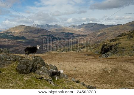 Lake District får