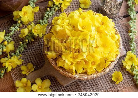 Fresh Denseflower Mullein Flowers In A Wicker Basket