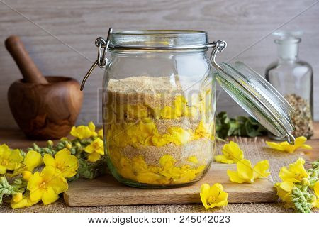 A Jar Filled With Fresh Denseflower Mullein Flowers And Cane Sugar, To Prepare Homemade Herbal Syrup